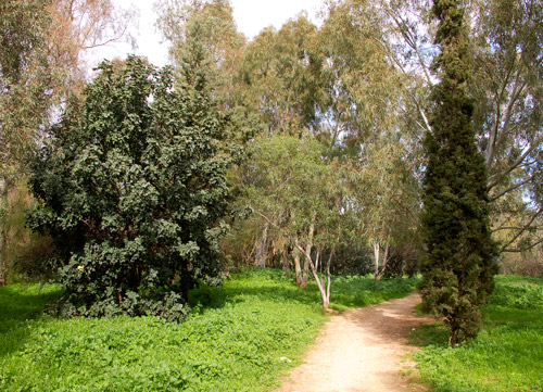 Nea Filadelfeia park